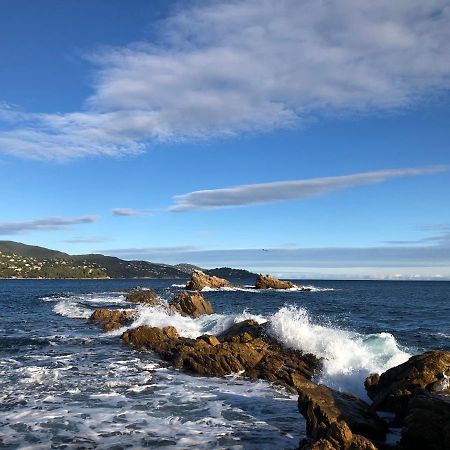 Mer Et Soleil Борм-ле-Мимоза Экстерьер фото